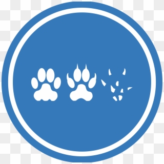 This Free Icons Png Design Of Cat Dog Mouse Unification, Transparent Png