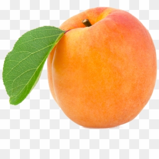 Apricot - Armenian Plum, HD Png Download