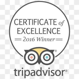 Tripadvisor Certificate Of Excellence - Circle, HD Png Download