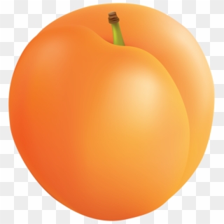 Apricot Png Clip Art - Clipart Of A Apricot, Transparent Png