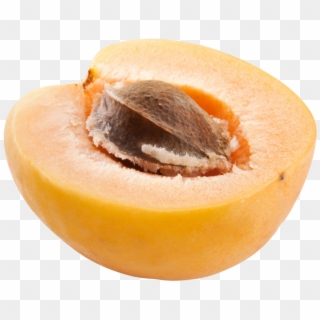 Apricot - Apricot Kernel, HD Png Download