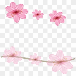 Sakura Clipart Condolence Flower, HD Png Download
