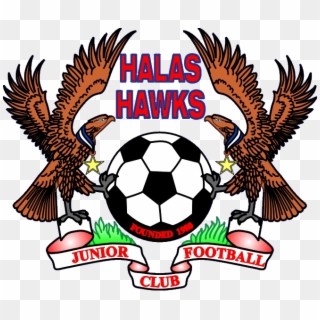 Halas Hawks Junior Football Club - Coat Of Arms Of Ghana, HD Png Download