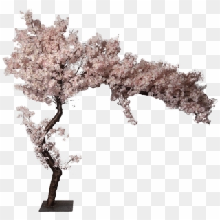Cherry Blossom Artificial Tree 0 - Cherry Blossom, HD Png Download