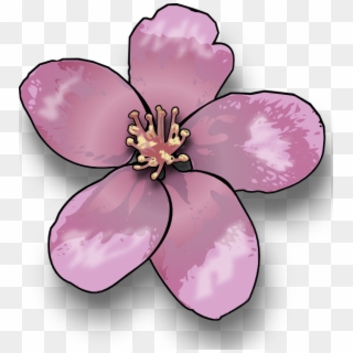 Apple Blossom Clip Art, HD Png Download