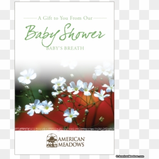 Baby Shower Seed Packet - Christmas Card, HD Png Download