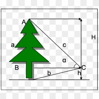 View Of Tree Height Measurement By Theodolite At Dbh - Triangle, HD Png Download