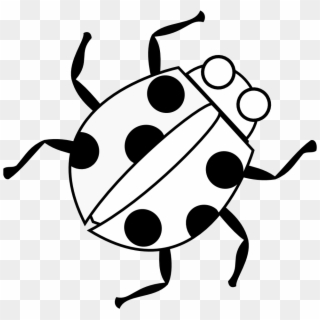 Ladybugs Png Black And White - Clip Art Black And White Bug, Transparent Png