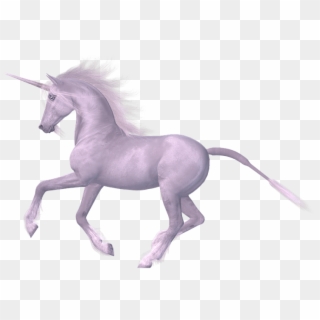 Unicorn With White Background, HD Png Download