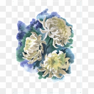 Fresh Ink Painting Hand Painted Chrysanthemum Decorative - Хризантемы Акварелью, HD Png Download