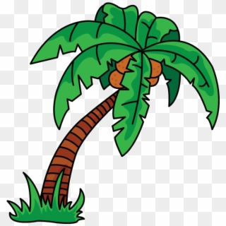 Scarce Palm Tree Drawing How To Draw A Easy Step By - Draw Palm Trees In  Illustrator, HD Png Download - 720x1280(#936772) - PngFind