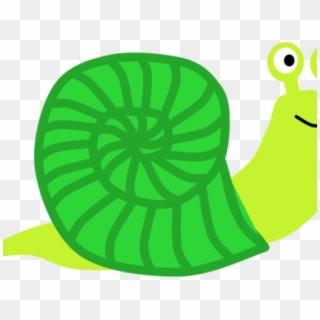 Snail Clipart Green Snail - Lymnaeidae, HD Png Download