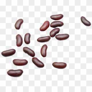 Kidney Beans, HD Png Download