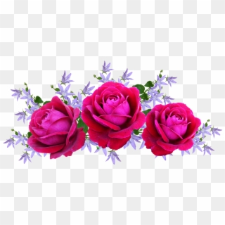 Roses, Red, David Austin, Floral, Arrangement - Arranjos De Rosas Png, Transparent Png