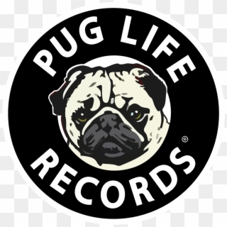 Pug Life Records Transparent Square - Pug, HD Png Download