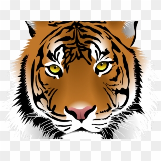 White Tiger Clipart Harimau - Tiger Png Face, Transparent Png