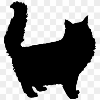 Jpg Free Library Cat Clipart Silhouette - Fluffy Cat Silhouette, HD Png Download