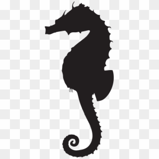 Big Image - Seahorse Silhouette Png, Transparent Png