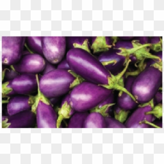 Brinjal 250 Gms - Purple Eggplant, HD Png Download