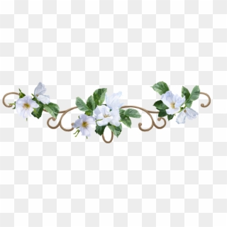 1300 X 378 12 - Watercolor White Flower Png, Transparent Png