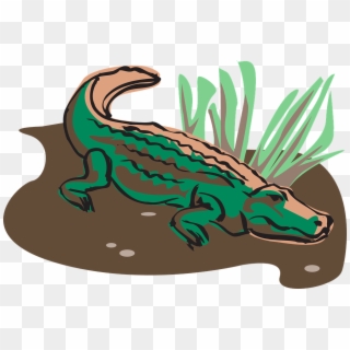 Mud Clipart Grass - Cocodrilos Animados, HD Png Download