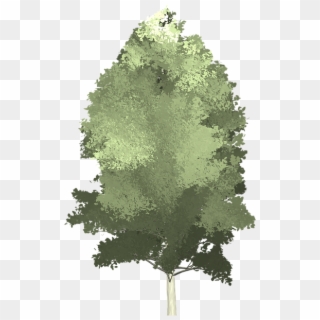Aspen, Tree, Painted Tree, Nature, Green - Tree, HD Png Download