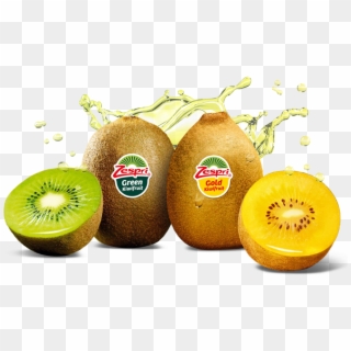 Kiwi New Zealand Fruit, HD Png Download
