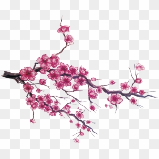 Japan Cherry Blossom Download - Cherry Blossom Flower Drawing, HD Png Download