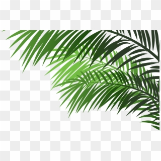 It's Not Easy To Be A Hero, But It's Easy To Bring - Palm Tree Branches On Transparent, HD Png Download