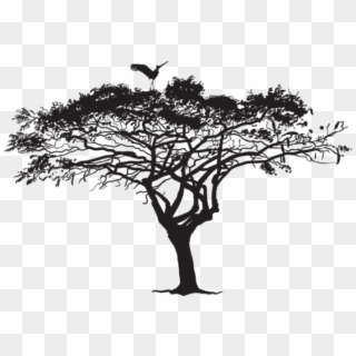 Exotic Tree And Bird Silhouette Png - Tree Silhouette Png, Transparent Png