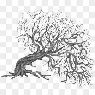 Clipart Trees Root - Drawings Surrealism Tree Art, HD Png Download