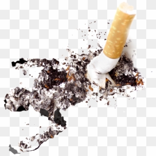 Smoking Ban Ash Material - Cigar Ash Png, Transparent Png