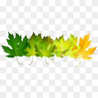Green Autumn Leaves Transparent Clip - Green Autumn Leaves, HD Png Download