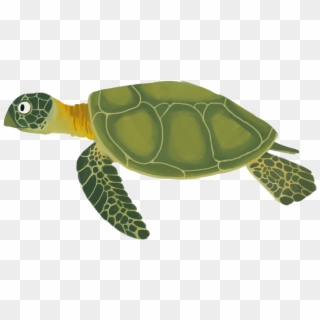 Go To Image - Animated Sea Turtle Png, Transparent Png