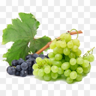 Grapes Free Png Image - Grape, Transparent Png
