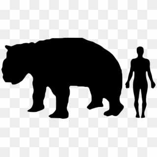 Diprotodon-human Size Comparison - Giant Panda Compared To Human, HD Png Download