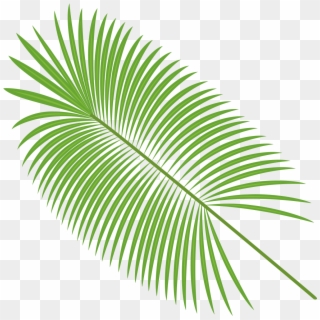 Graphic Free Palm Leaves Material Transprent Png Free - Feuille Noix De Coco, Transparent Png