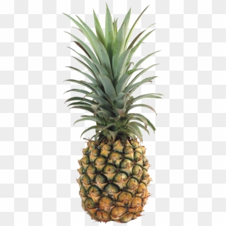 Pineapple Png Image, Free Download - Ananas, Transparent Png