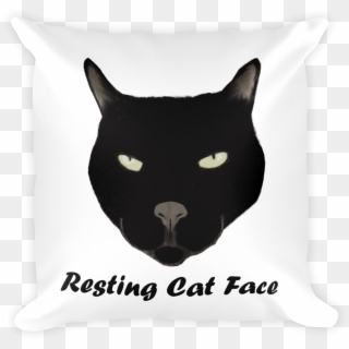 Resting Cat Face Pillow, HD Png Download