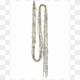String Of Pearls Png - Necklace, Transparent Png