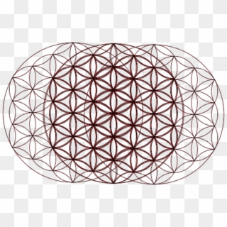 Flower Of Life Optical Illusion - Lebensblume Pattern, HD Png Download