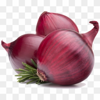 Red Onion Png Hd - Onion Png, Transparent Png