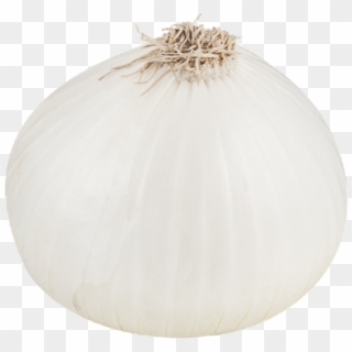 White Onion Png File - White Onion Png, Transparent Png