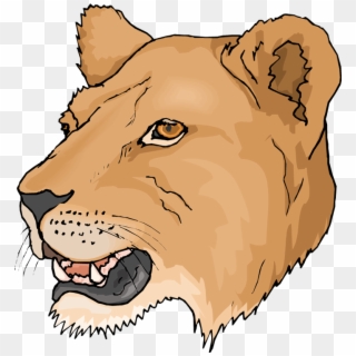 Free Head Lioness Clipart - Female Lion Head Clipart, HD Png Download