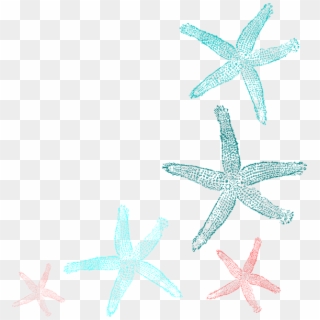 Coral And Teal Starfish Clip - Seashells And Starfish Transparent Clipart, HD Png Download