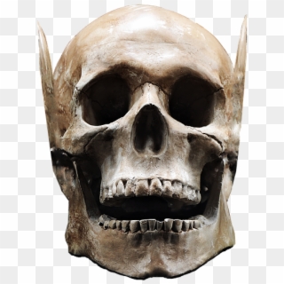 Skull, Isolated, Skull And Crossbones, Bone, Finality - Skull, HD Png Download