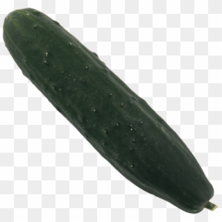 66 G - Pickled Cucumber, HD Png Download