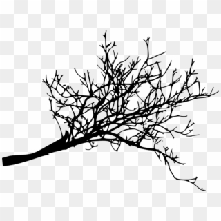 Free Png Tree Branches Silhouette Png Images Transparent - Dead Tree Branches Png, Png Download