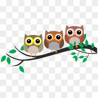 Image Freeuse Download Owl In A Tree Clipart - Owl In Tree Clipart Free, HD Png Download