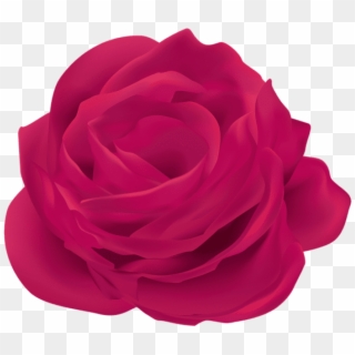 Free Png Pink Rose Flower Png Images Transparent - Garden Roses, Png Download